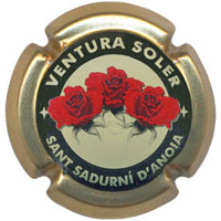Ventura Soler X001404 - V3116 - CPC VNL314
