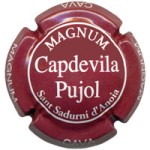 Capdevila Pujol X001894 - V2261 - CPC CPL314 MAGNUM