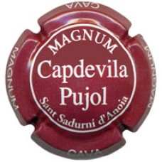 Capdevila Pujol X001894 - V2261 - CPC CPL314 MAGNUM