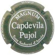Capdevila Pujol X003750 - V4252 - CPC CPL316 MAGNUM
