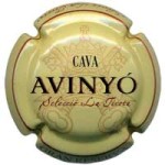 Avinyó X003809 - V4449 - CPC AVN333