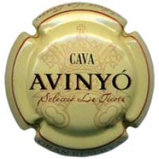 Avinyó X003809 - V4449 - CPC AVN333