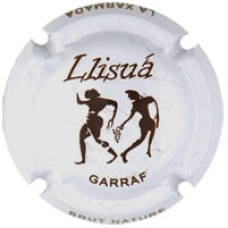 Llisuá X024213 - V7093 (Garraf)