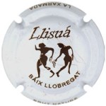 Llisuá X024217 - V7097 (Baix Llobregat)