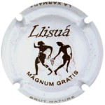 Llisuá X024218 - V7098 MAGNUM