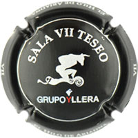 Yllera X050863 (Sala VII Teseo)