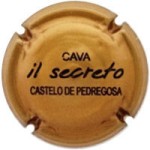 Castelo de Pedregosa X087727 - CPC CSP349
