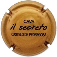 Castelo de Pedregosa X087727 - CPC CSP349