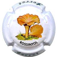 Ferret X120893 (Rossinyol)