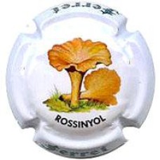 Ferret X120893 (Rossinyol)