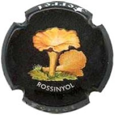 Ferret X120894 (Rossinyol)