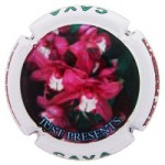 Just Presents X128623 - XC JSTP088