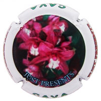 Just Presents X128623 - XC JSTP088
