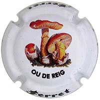 Ferret X128661 (Ou de Reig)
