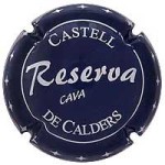 Castell de Calders X156031