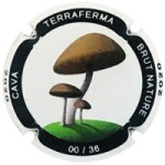 Terraferma X200679 (Numerada 36 Ex)