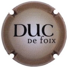 Duc de Foix X208289