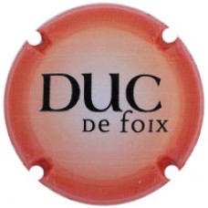Duc de Foix X208291