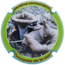 Xic d'Alfons X208591 (Trompeta de la Mort)