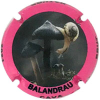 Balandrau X212523
