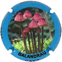 Balandrau X212524