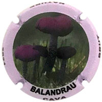 Balandrau X212528