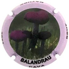 Balandrau X212528