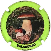 Balandrau X213581