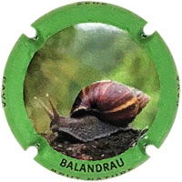 Balandrau X214667