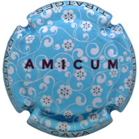 Amicum X215525 - CPC AMC308