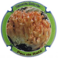 Xic d'Alfons X216766 (Peu de Rata)