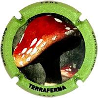 Terraferma X218408