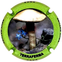 Terraferma X218409