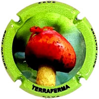 Terraferma X218410