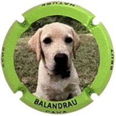 Balandrau X218611
