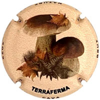 Terraferma X219642