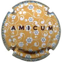 Amicum X226438 - CPC AMC311