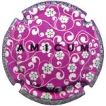 Amicum X227917 - CPC AMC310