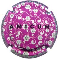 Amicum X227917 - CPC AMC310