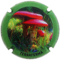 Terraferma X232587