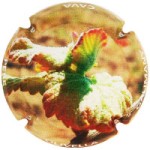 Pere Olivella Galimany X239234 - CPC POG457 - XC POGN207