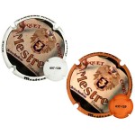 Mestres X242647 - X242648 (2 Placas) (Num. 120 Ex)