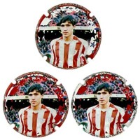 Fuchs de Vidal X198896 a X198898 MAGNUM (3 Placas)