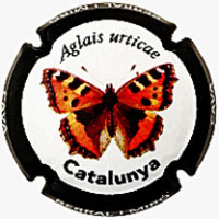 Berral i Miró X247633 (Aglais urticae)