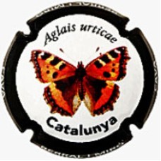 Berral i Miró X247633 (Aglais urticae)