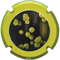 Mas Bertran X212900 - CPC MAB324